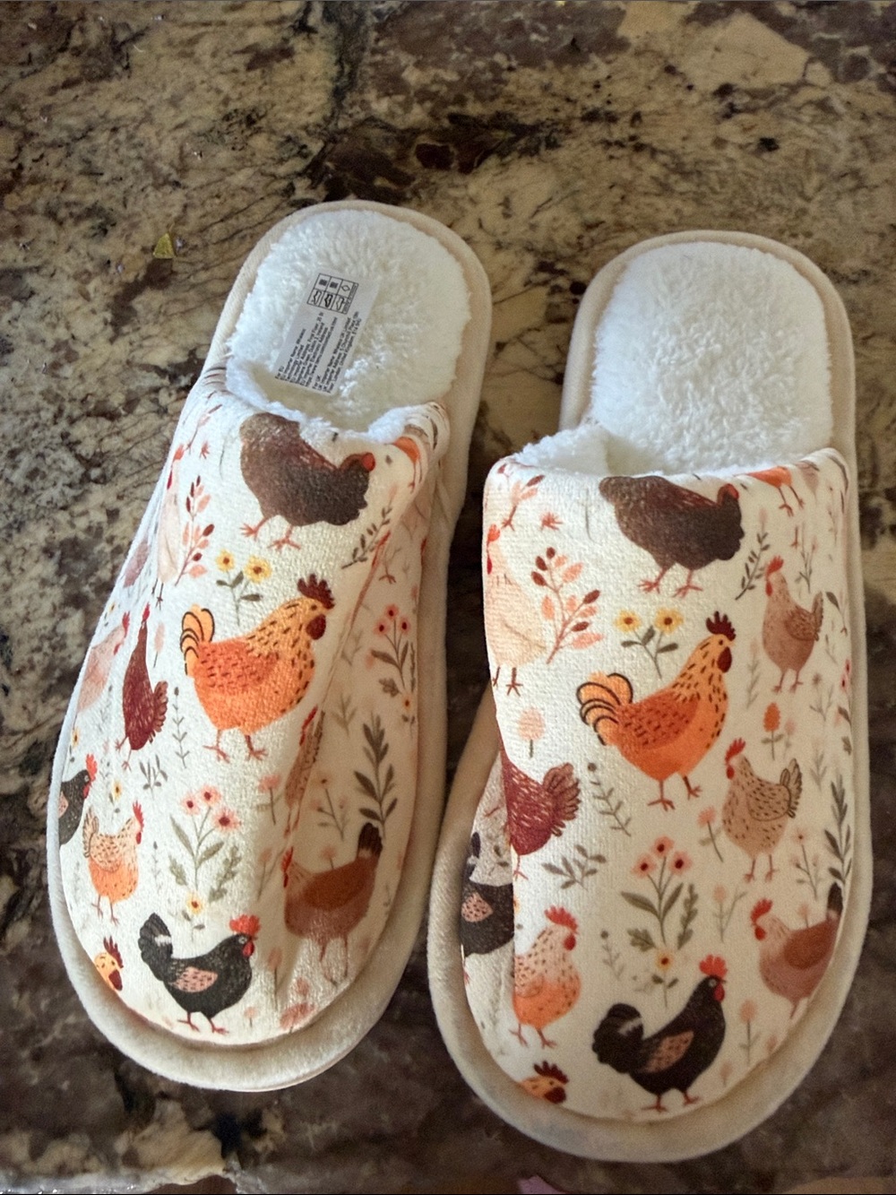 Chicken House Slippers